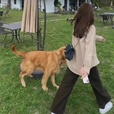 造衣者