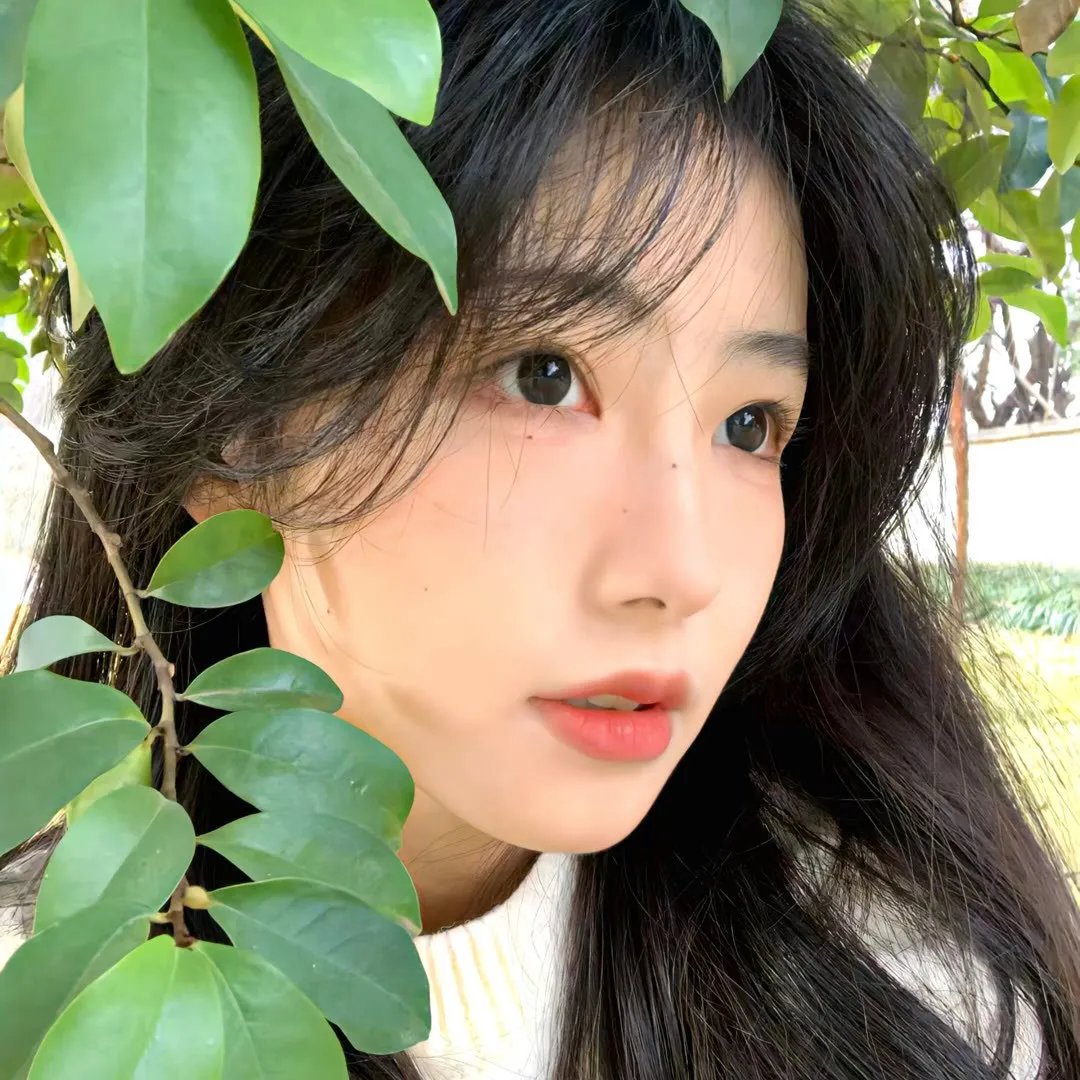 晴雅集